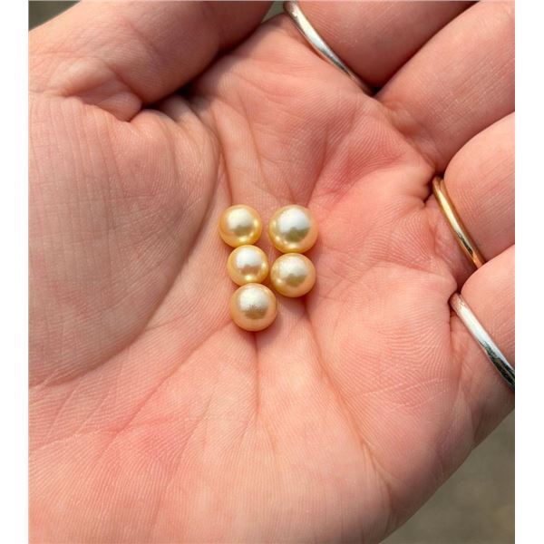 Golden South Sea Loose Pearls