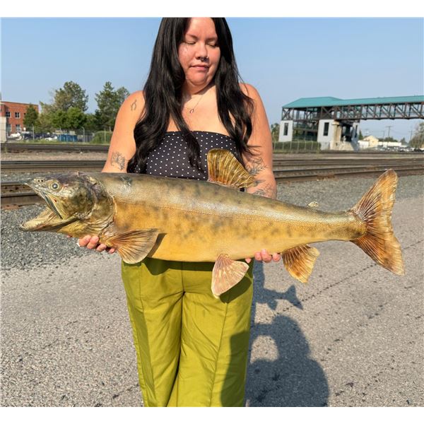Montana Lake Trout Real Skin Taxidermy Fish Mount