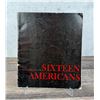 Image 1 : Sixteen Americans