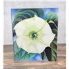 Image 1 : One Hundred Flowers