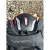 Image 5 : Hockey Protective Gear Lot: Bauer Pants, Hespeler Shoulder Pads, Jofa, TECH/Oakley Visors