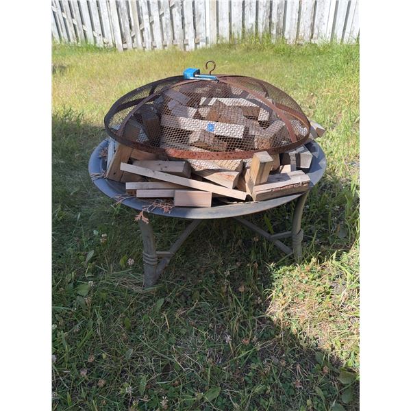 Outdoor Metal Fire Pit With Mesh Cover and Firewood