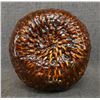 Image 6 : APACHE BASKETRY TUS