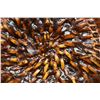 Image 7 : APACHE BASKETRY TUS