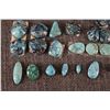 Image 5 : TURQUOISE CABS