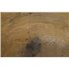 Image 15 : PRE-COLUMBIAN POTTERY PLATE