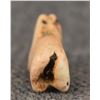 Image 14 : PREHISTORIC HOHOKAM ARTIFACTS