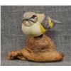 Image 1 : WOOD CARVING (LAWRENCE PACHECO)