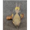 Image 8 : WOOD CARVING (LAWRENCE PACHECO)
