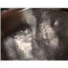 Image 7 : ZUNI BRACELET (SIGNED)