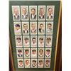 Image 2 : 1934 Cricket Reproduction FRAMED LOT x50 Cards