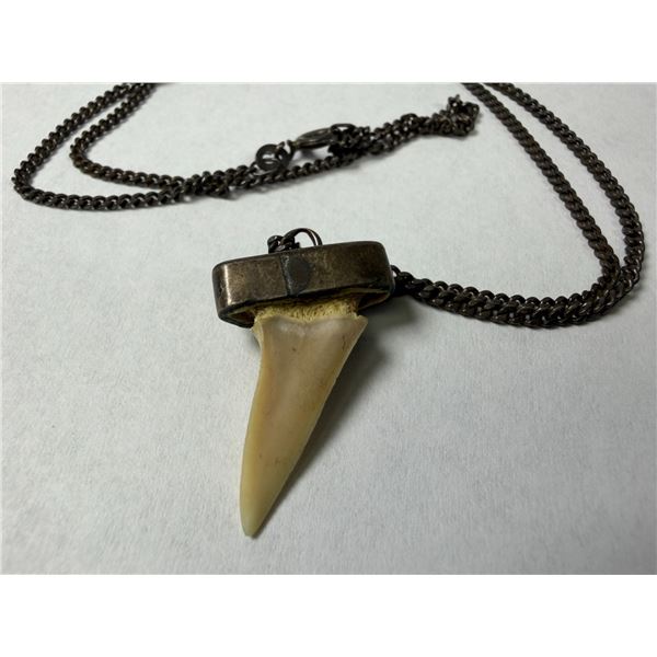 Shark Tooth Pendant Necklace w/ Chain