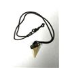 Image 2 : Shark Tooth Pendant Necklace w/ Chain