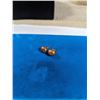 Image 1 : 14K GOLD W/ BRONZE COLOUR PEARLS PAIR OF EARRINGS