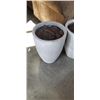 Image 2 : 2 PLANTER POTS