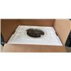 Image 3 : TOSHIBA 1.2 CU FT COUNTERTOP MICROWAVE - TESTED WORKING, RETAIL $179