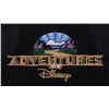 Image 2 : An Adventures by Disney Backpack.