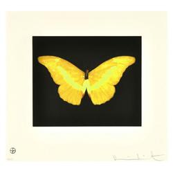 Damien Hirst - "Butterflies" (6)