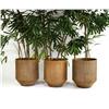 Image 1 : David Cressey - Large ceramic planters (3)