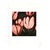 Image 2 : Donald Sultan - "Fruits and Flowers" (suite of 8)