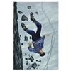 Image 1 : Richard Bosman - "Mountaineer"