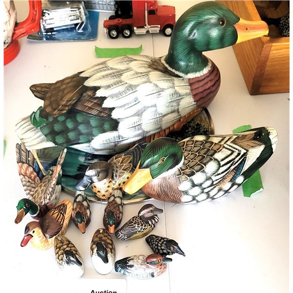 Wood Ducks A