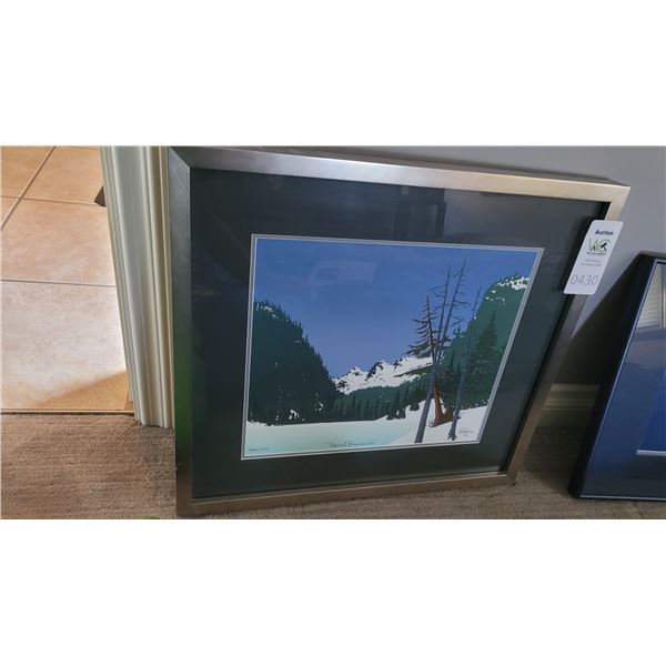 Framed Art A