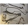 Image 5 : Costume Jewelry A