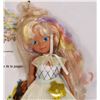 Image 2 : LADY LOVELYLOCKS + THE PIXIETAILS COLLECTOR DOLL