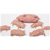 Image 2 : VINTAGE PLASTIC PIG FAMILY TOY SET - 1970'S