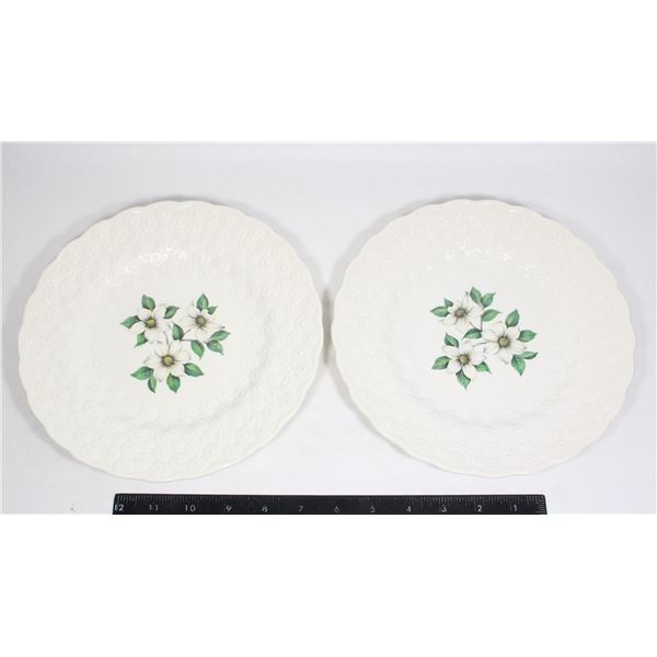 PAIR OF SPODE PLATES