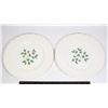 Image 1 : PAIR OF SPODE PLATES