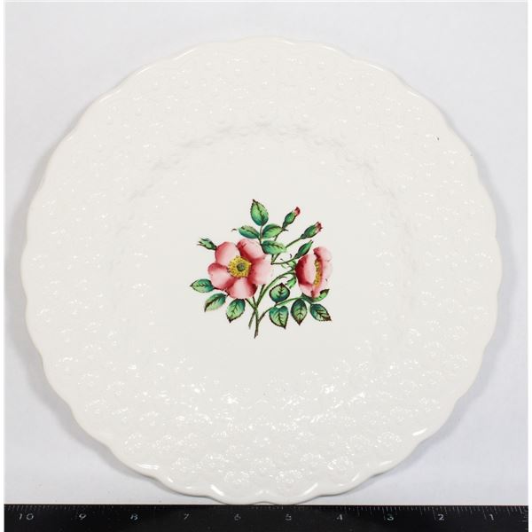 ALBERTA - FIRST EDITION SPODE