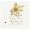 Image 2 : MYOTT - 7 VINTAGE DINNER PLATES "DAISY" IRONSTON