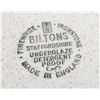Image 2 : BILTONS - IRONSTONE