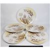 Image 1 : 5 MELAMINE VINTAGE PLATES