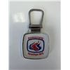 Image 1 : Democratic Telethon 1973 keychain