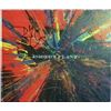 Image 1 : Robert Plant Digging Deep signed box set