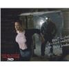 Image 1 : My Bloody Valentine Richard Walters Signed Photo