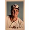 Image 1 : Baltimore Orioles Joesph Orsulak baseball trading card