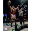 Image 1 : ROH Jeff Cobb Ring of Honor Signed Photo