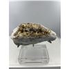 Image 5 : 8 X 7 INCH RARE FORMATION  PURPLE AND GREEN FLUORITE WITH BARITE ON STAND