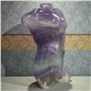 Image 3 : Flourite Male body