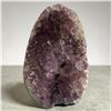 Image 5 : Amethyst Geode 3.53 Inch