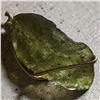 Image 3 : Moldavite (Olive Green) pendant 2.786 gm