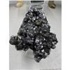 Image 6 : 2.8 INCH IRON PYRITE WITH CALCITE