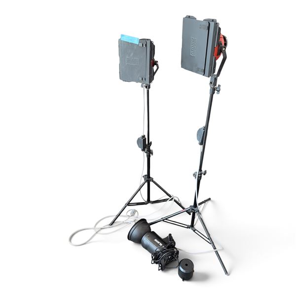 Professional Studio Lighting Bundle: 2x Ianiro Lights with Stands & 1x Godox SL-60W