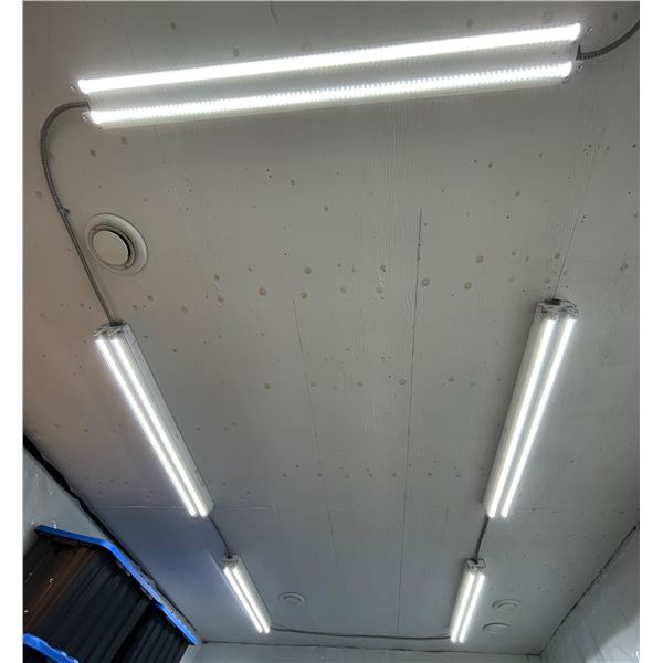 Group of Lighting (BIDDER RESPONSIBLE FOR REMOVAL)