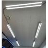 Image 1 : Group of Lighting (BIDDER RESPONSIBLE FOR REMOVAL)
