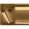 Image 3 : Group of Lighting (BIDDER RESPONSIBLE FOR REMOVAL)
